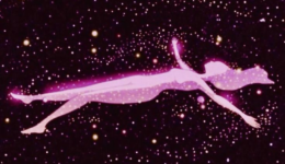 aa6262e5-94da-4257-acc2-7d3cf940ac87_735x692