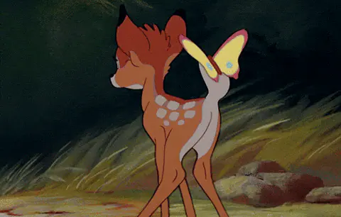 bambi giph